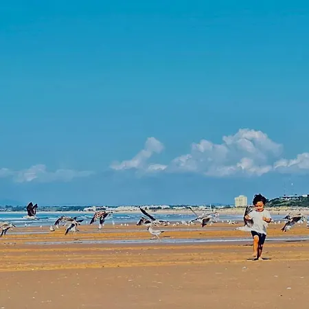 Pe No Mar - *